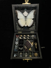 Butterfly specimen gift - music box - Style 2